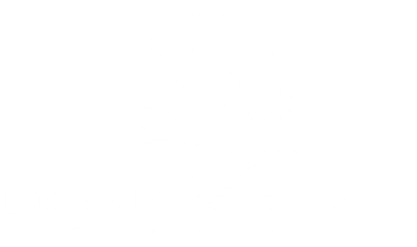Luxe Wellness and Recovery